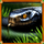wolf fang spear of fire snake symbol icon