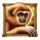 wolf fang treasure island monkey symbol icon
