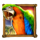 wolf fang treasure island parrot symbol icon