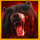 wolf fang volcano bear symbol icon