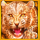 wolf fang volcano tiger symbol icon
