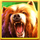 wolf fang winter storm bear symbol icon