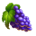 wolf fury fire blitz grape symbol icon