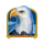 wolf gold eagle symbol icon