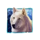 wolf run eclipse wolf 2 symbol icon