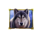 wolf run wild moon wolf symbol icon