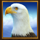 wolf sierra eagle symbol icon