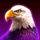 wolf spins 243 eagle symbol icon