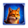 wolf storm hold and win fox symbol icon