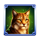 wolf storm hold and win wild cat symbol icon