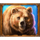 wolf wild bear symbol icon