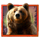 wolfs transformation bear symbol icon