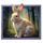 wolfs transformation bunny symbol icon