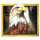 wolfs transformation eagle symbol icon