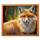 wolfs transformation fox symbol icon