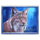 wolfwood prizetower lynx symbol icon
