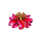 wu jin pen panda flower symbol icon