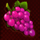 x wild slots grape symbol icon