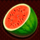 x wild slots watermelon symbol icon