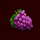 xtreme hot grapes symbol icon