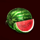 xtreme hot watermelon symbol icon
