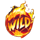 10000 bc 2 doublemax wild symbol icon