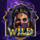 10001 nights wild symbol icon