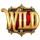 1001 fruit wishes wild symbol icon
