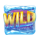 10 frozen fruits wild symbol icon