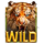 10 mystic tiger tiger wild symbol icon