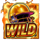 1st cricket league wild symbol icon
