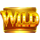 20 boost hot wild symbol icon