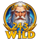 243 zeus fruits wild symbol icon