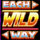 2 fast 2 fruity wild 4 symbol icon