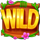 3 cheeky chimps wild symbol icon