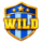 3 fortune cups wild symbol icon