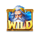 3 lightning blitz hit the cash wild symbol icon