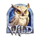 3 royal dracos wild owl symbol icon