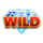 3x3 grand crown hold the spin wild symbol icon