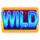 40 diamond hot wild symbol icon