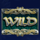 40 thieves wild symbol icon
