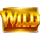5 boost hot wild symbol icon