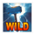 5 gods of war wild symbol icon
