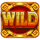 5 golden fruits wild symbol icon