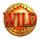5 tombs of fortune wild symbol icon