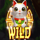 88 fortune cats wild symbol icon