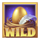 9 enchanted beans wild symbol icon