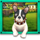 ace and flip ace wild symbol icon