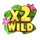 aloha juicy 7s wild 1 symbol icon