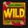 aloha tiki bar powerpoint wild symbol icon